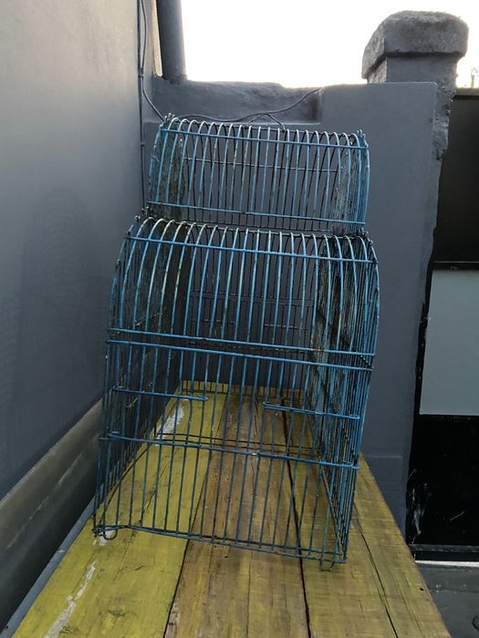 Gaiola grande 83 cm comp. 41 prof. 77 alt. Precisa pintar pode usar como floreira ou para passaros