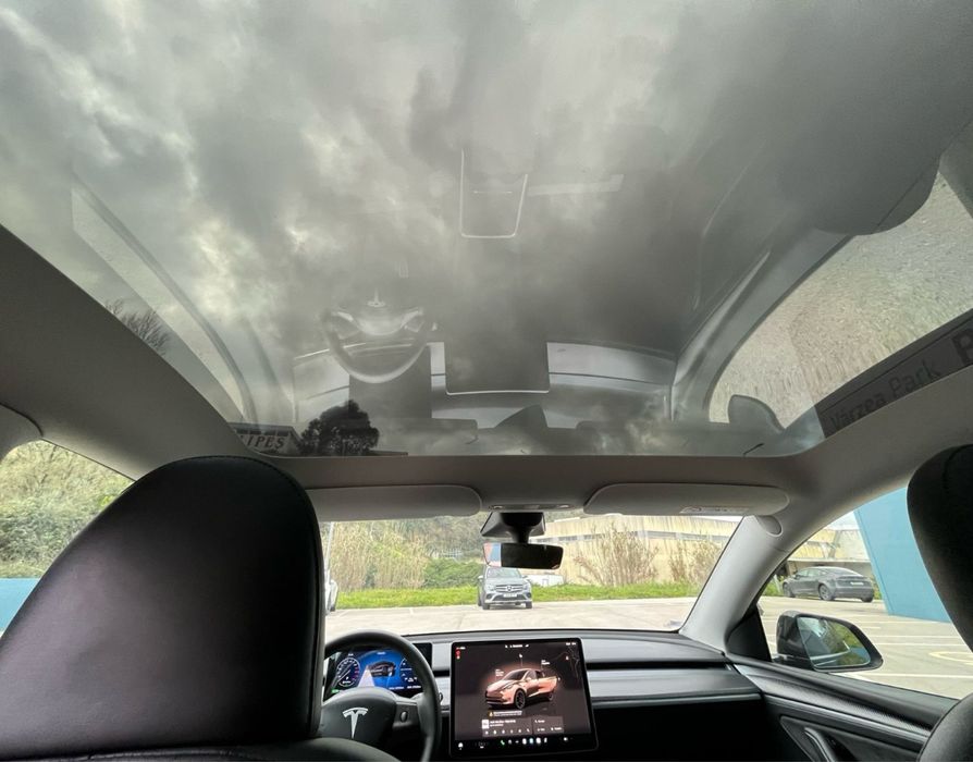 Tesla Model Y Performance 2022 | 42.000km