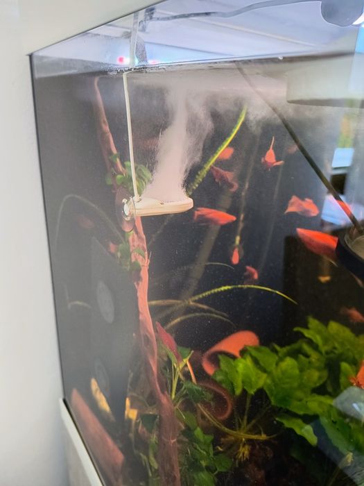 Jonizator Chihiros Doctor