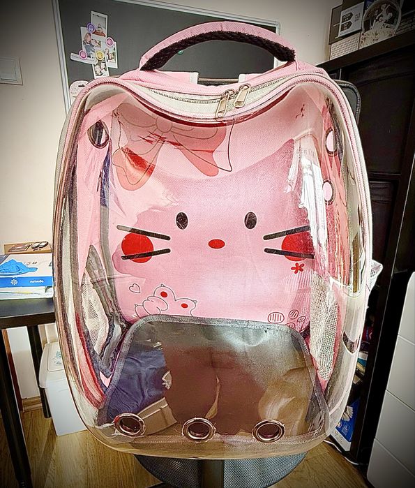 Transporter, plecak dla kotka stan jak nowy.