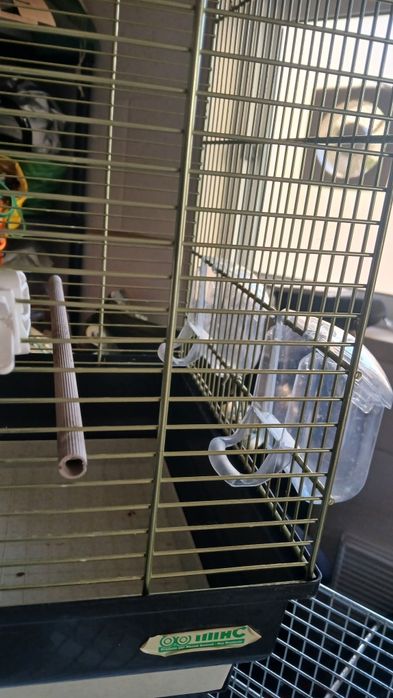 Gaiola IMAC excelente estado