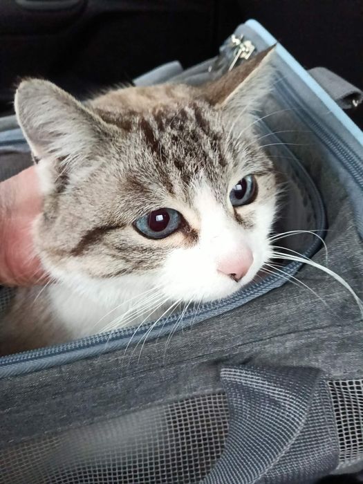 Красуня шукає родину