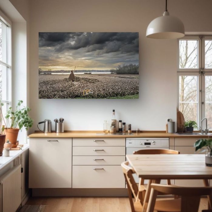 Telas de Fotos Autorais