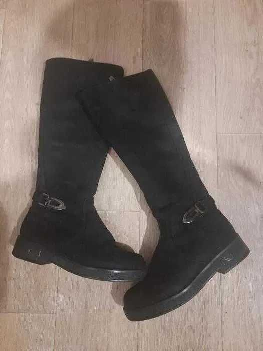 Ротангові кашпо Кімнатні рослини