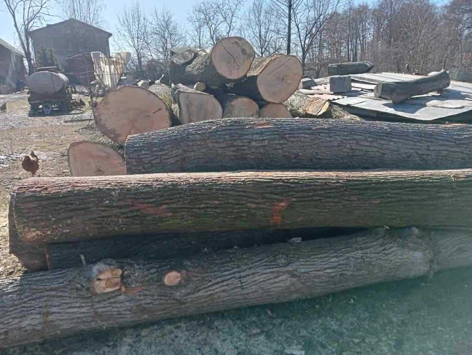 lipa wiąz jesion drewno sprzedam