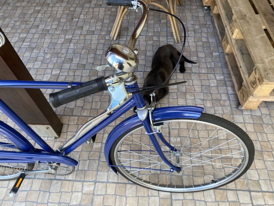 Bicicleta pasteleira