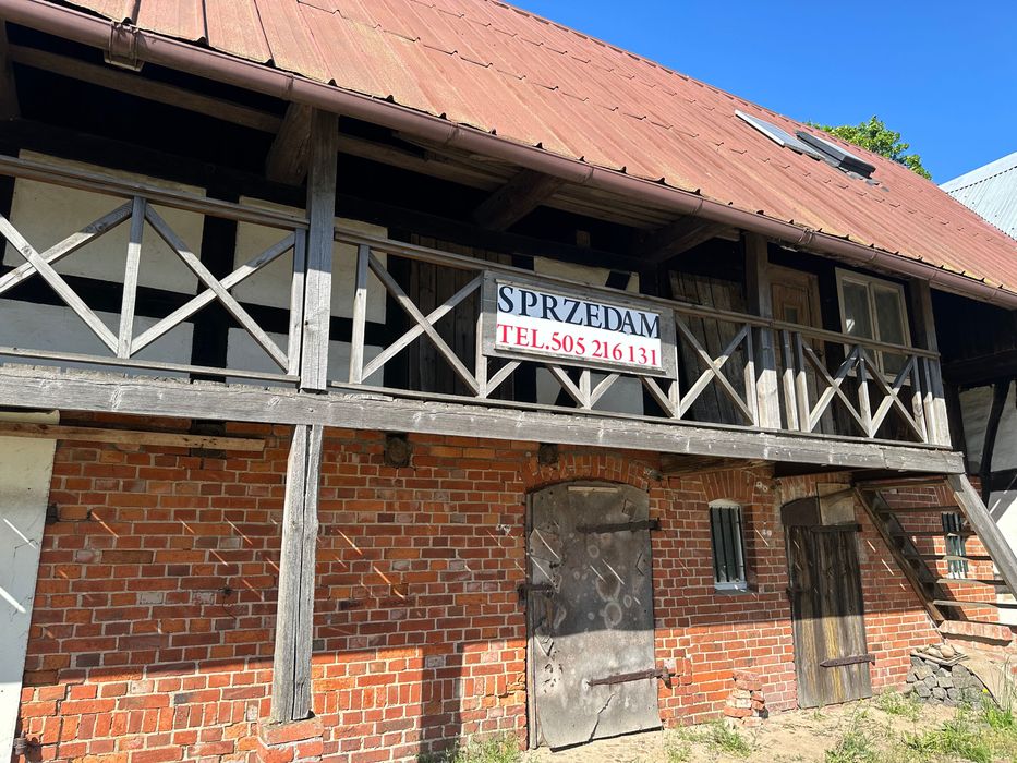 Zdjęcie 5