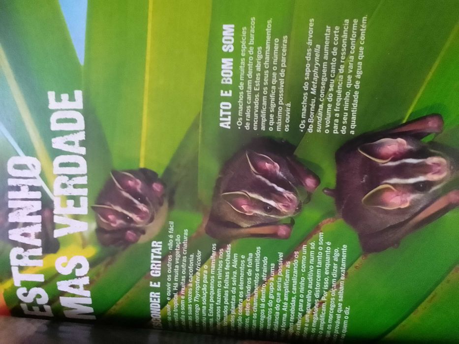 Livro/Revista "O Grande Livro dos Mamíferos" da BBC