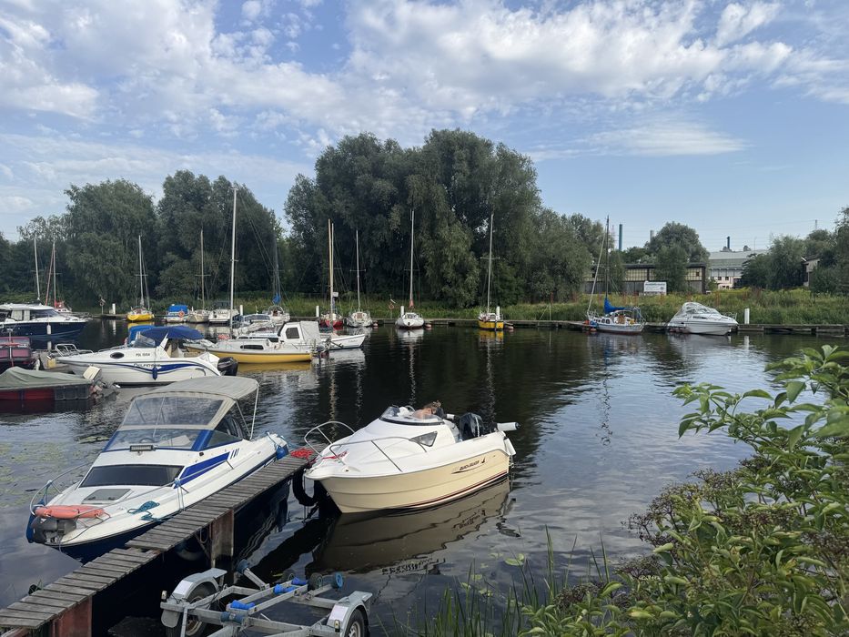 Quicksilver Mercury 50 EFI