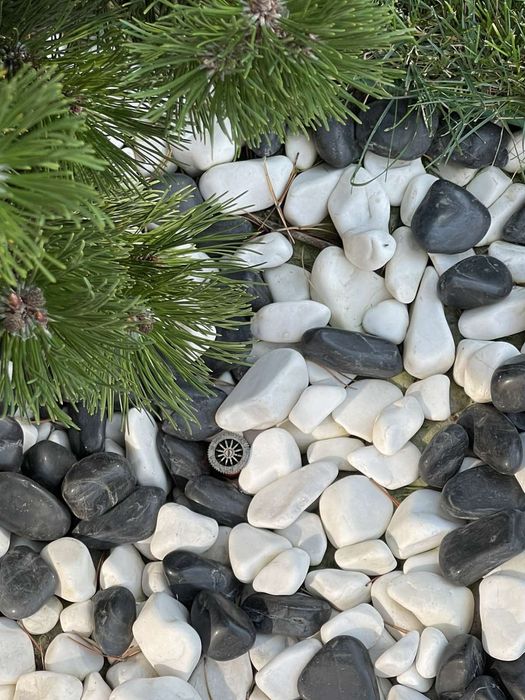 Рулонні Газони,озеленення ділянки. Обрізка дерев, формування крони