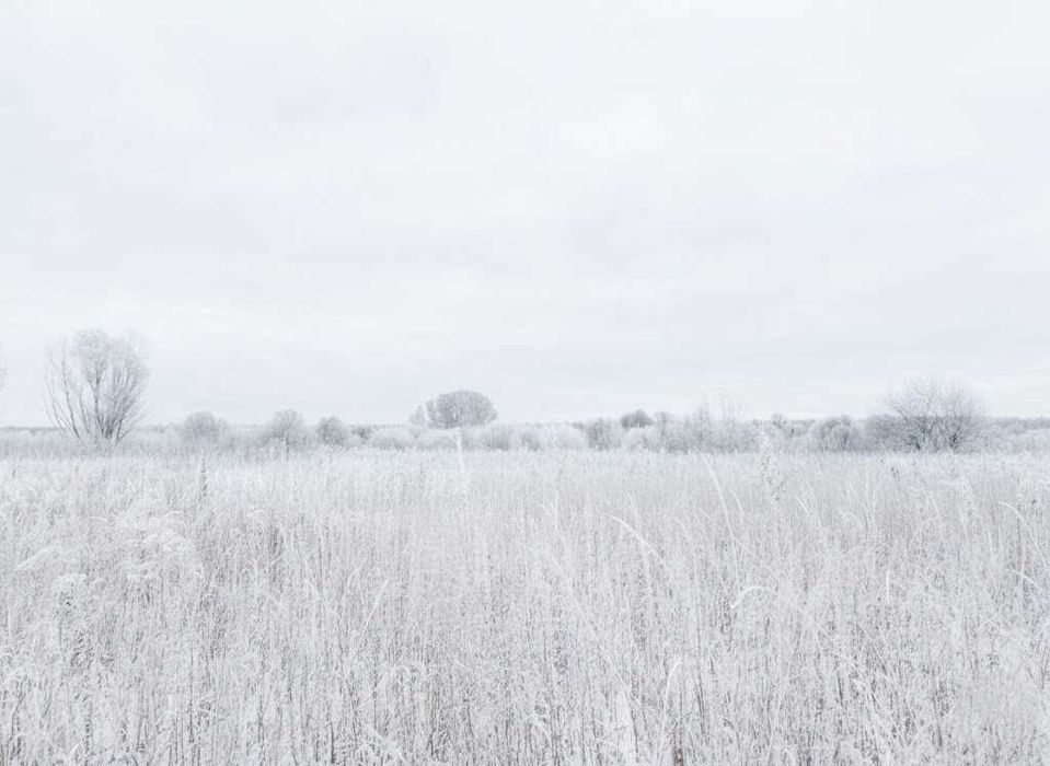 Продаж ділянки 164 сотки - ОСГ. Електрика - 1км. Біля річки. ID:758