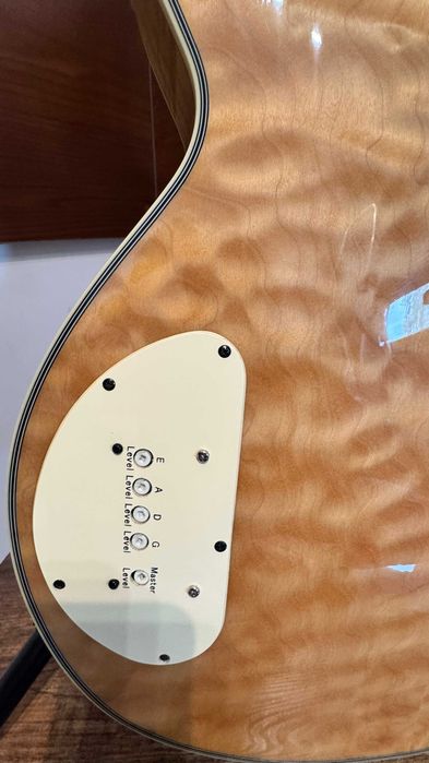 Washburn AB-40 Custom Stuart Hamm sygnatura