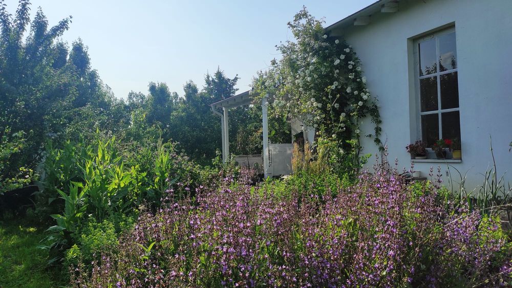 Sprzedam unikalny dom otoczony naturą