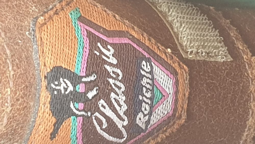 Botas Alpinismo Suíças