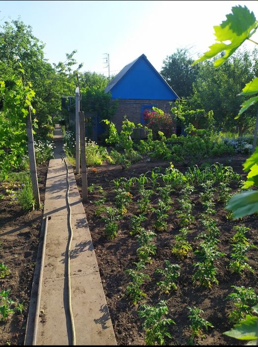 Недвижимость ,Дачи