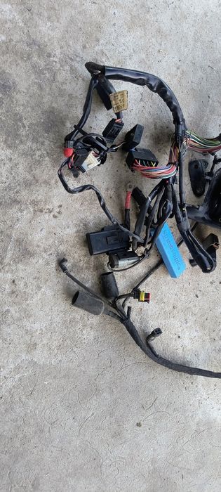 Проводка двигателя Harley Davidson XL1200/883