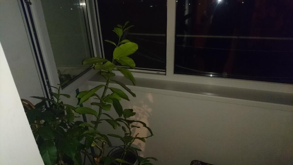 Продам квартиру. 10 хвилин до моря на авто.