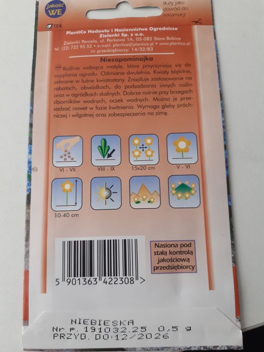 Niezapominajka nasiona 0.5g