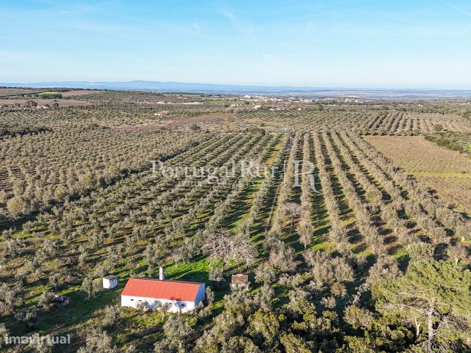 Quinta de 9,6 ha com ruína e vinha em Estremoz