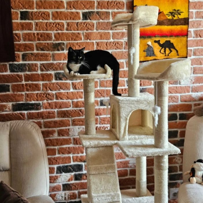 drapak dla kota domek dla kota drapak dla kota legowisko duży drapak