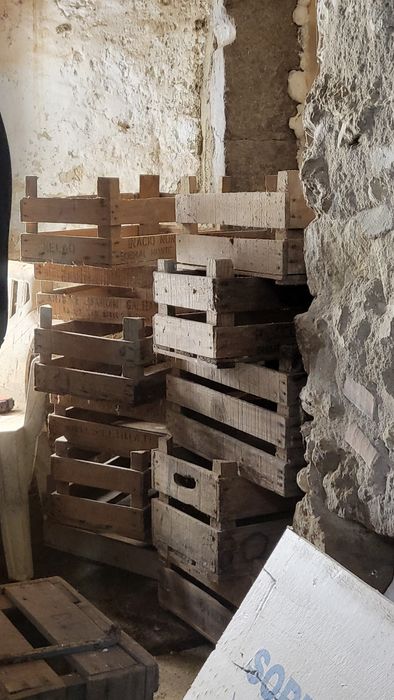 Caixas de fruta madeira