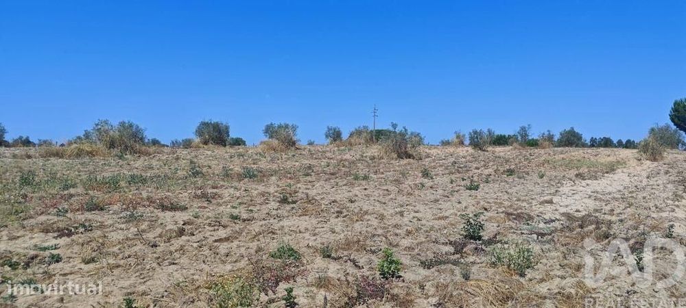 Terreno para construção em Branca de 7020,00 m2