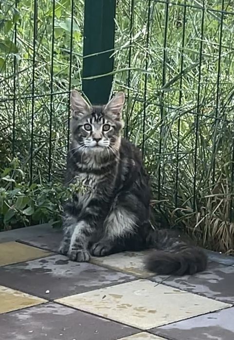 Мальчик пять месяцев