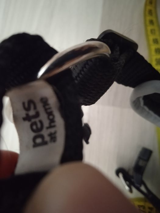 Ошийник Pets для маленької собачки