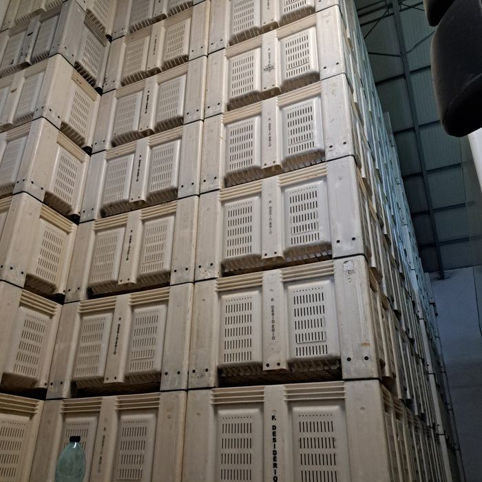 Palotes Plástico 120x100x74 Barrigudos Domplex