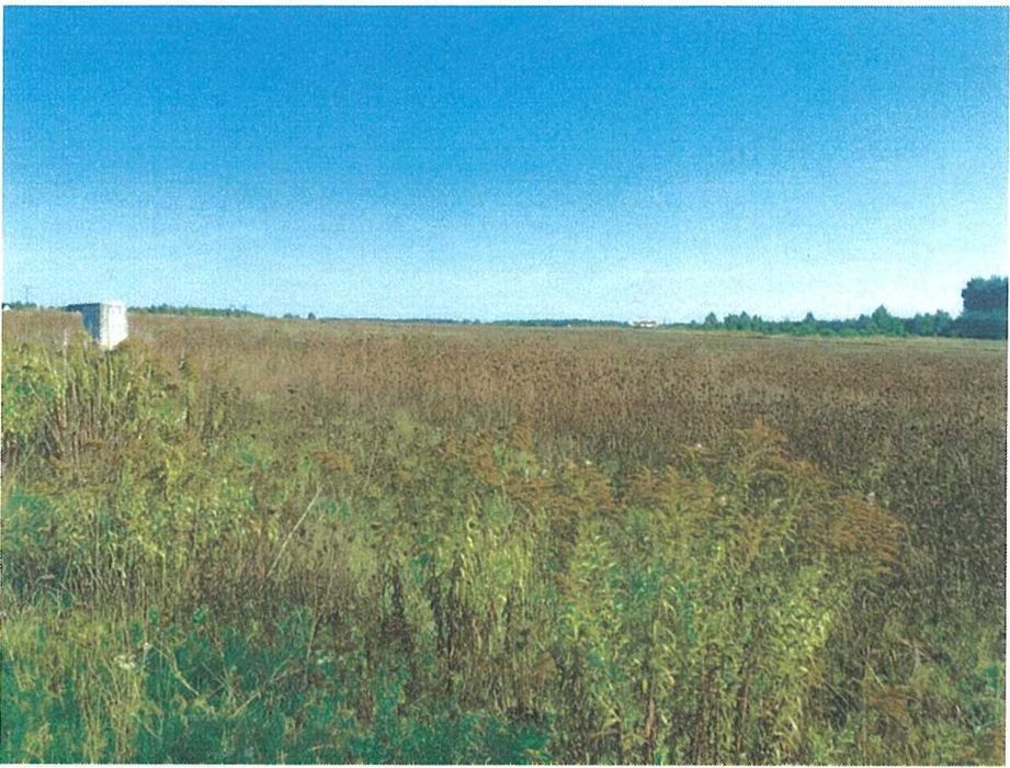 nieruchomość, Łódź - Widzew