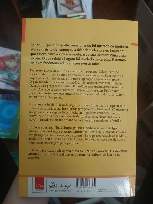 Livro "O Céu existe mesmo"