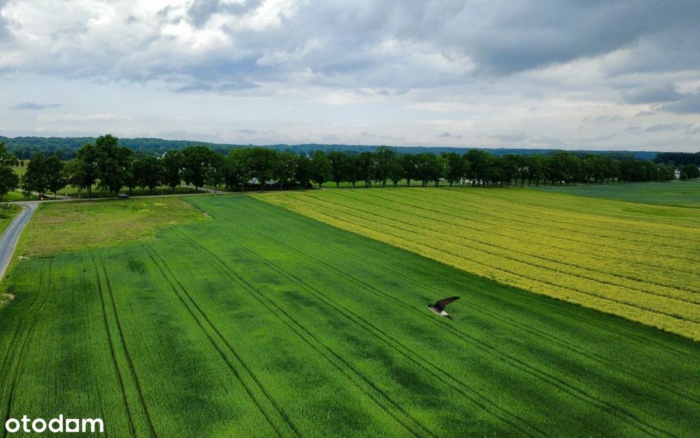 Działki budowlane Iława przy ul. Lipowy Dwór 0,12-0,18ha