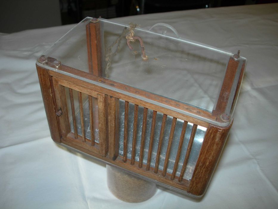 Gaiola de chamariz ou de cantar.