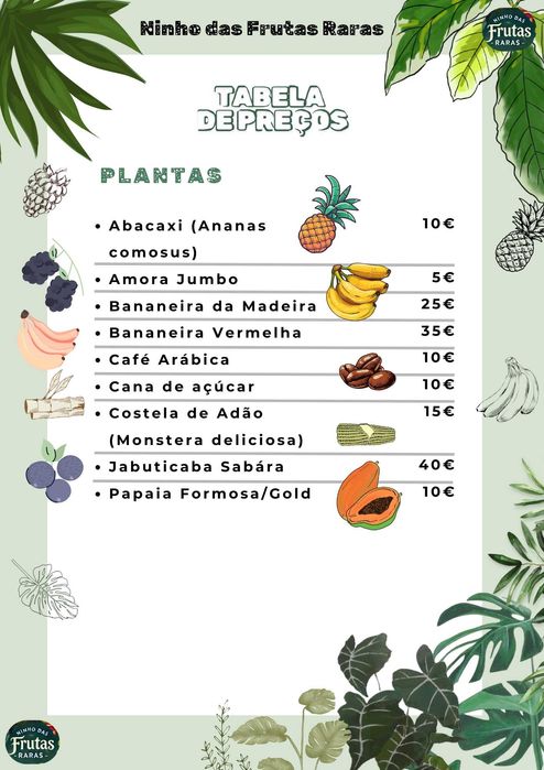 Planta do abacaxi comum (Ananas comosus)