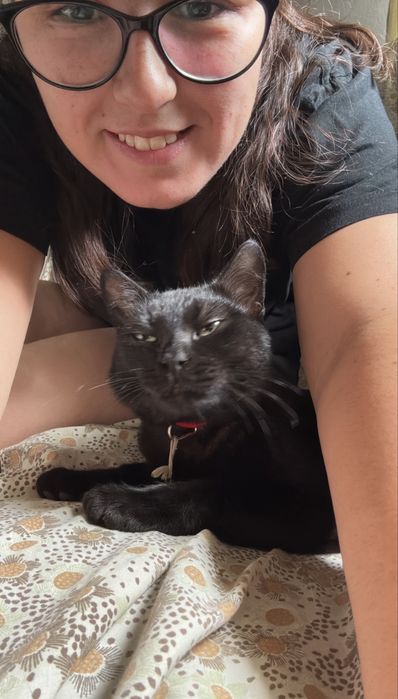Pet Sitting e Dog Walking