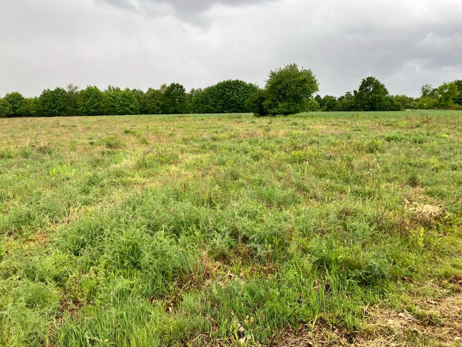 Działka ok. 900 m2 z warunkami zabudowy