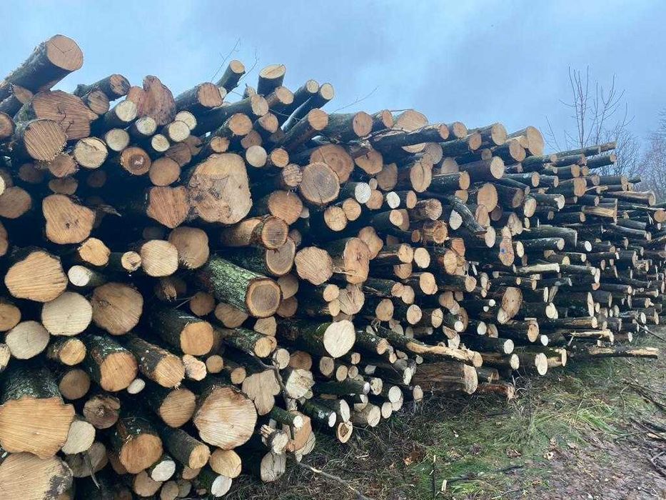 Drewno opałowe w wałkach lub pocięte i łupane