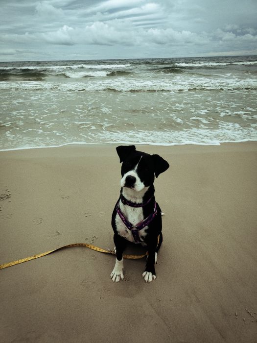 Nie jestem potworem... To człowiek mnie zniszczył