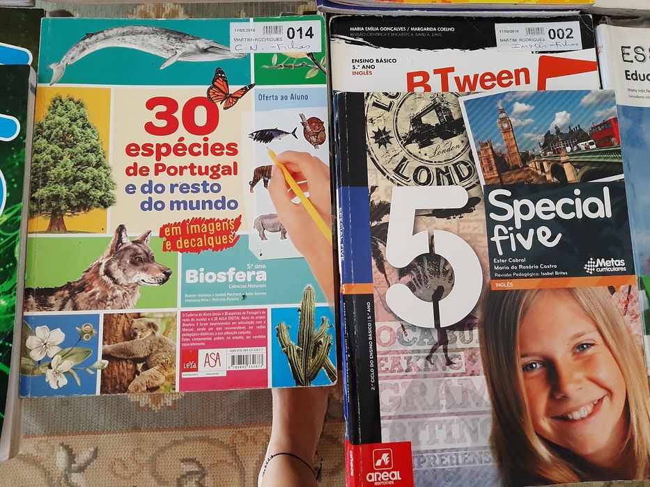 Diversos Manuais/Cadernos de actividades do 5° Ano.