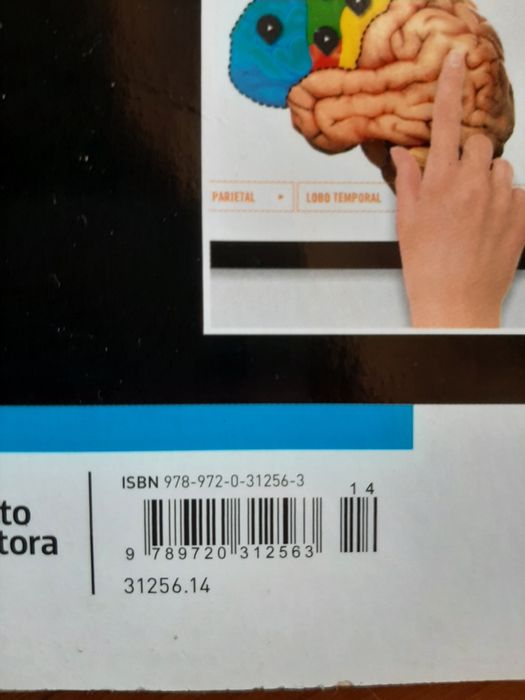 Livro fichas francês 9 ano Mots clés