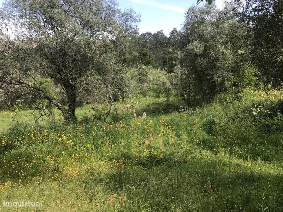 Terreno para venda