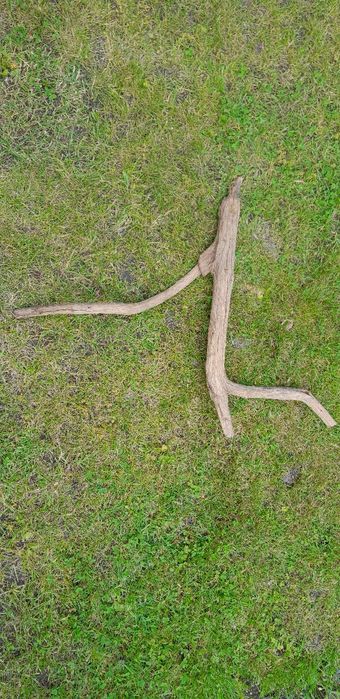 Drewniany element do terarium