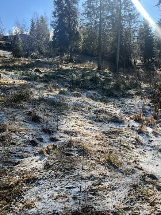 Продам земельну ділянку Слаське 25 сотих під будівництво