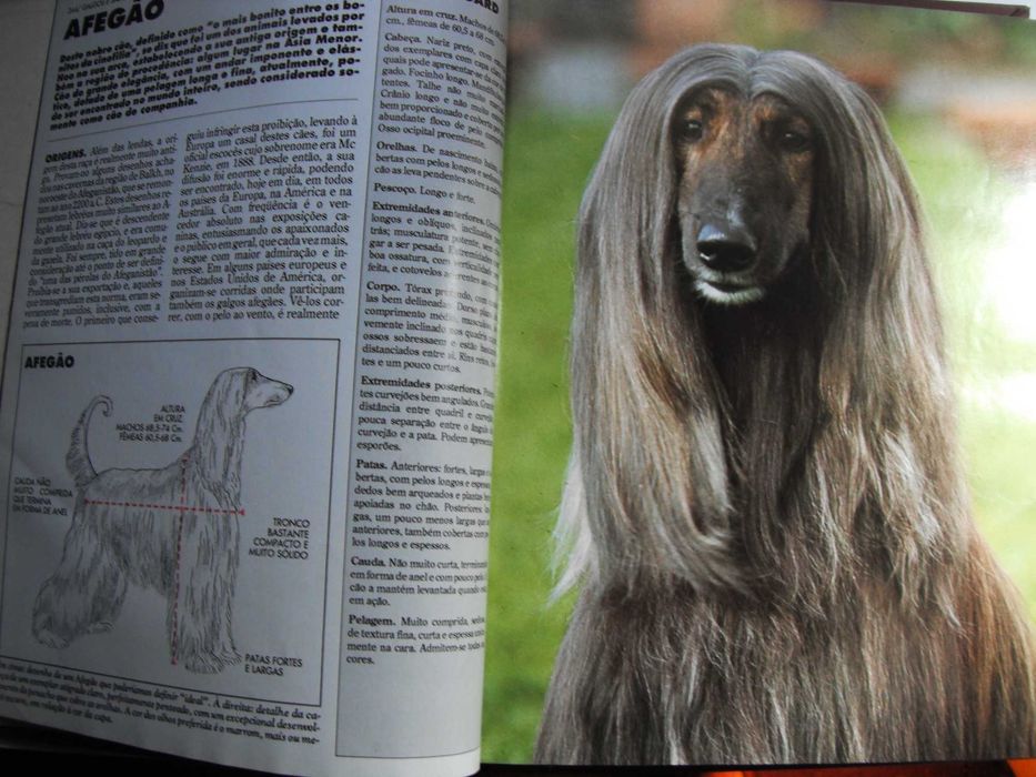 Enciclopédia dos Cães - Volumes 1 e 2 - Formato A4, capa dura