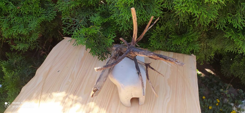 Grota do terrarium