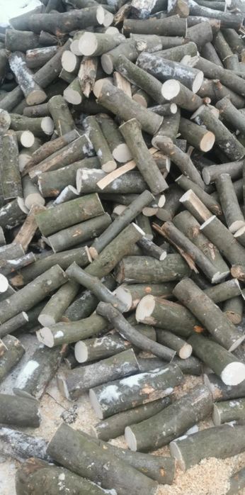 Sucha gałęziówka buk grab dąb 200zł