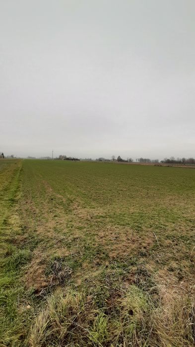 Działki budowlane Podkampinos