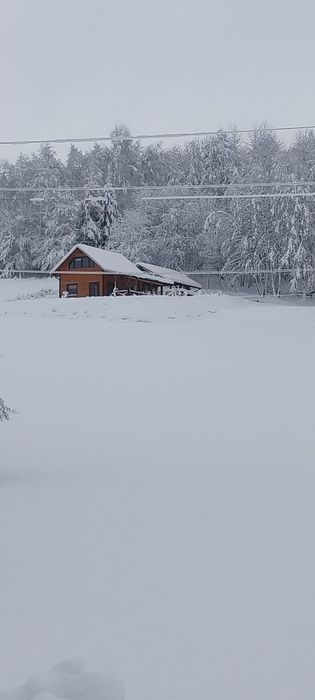 LEŚNA CHATKA domek całoroczny do wynajęcia ferie zimowe