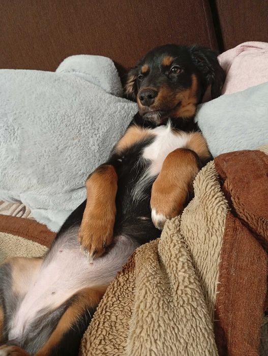 Дівчинка 3 місяці