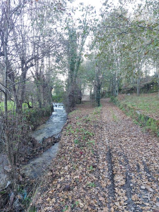 Terreno/Quinta de Lazer com 2.580 m² junto à Ribeira de Juncal | Soalhães